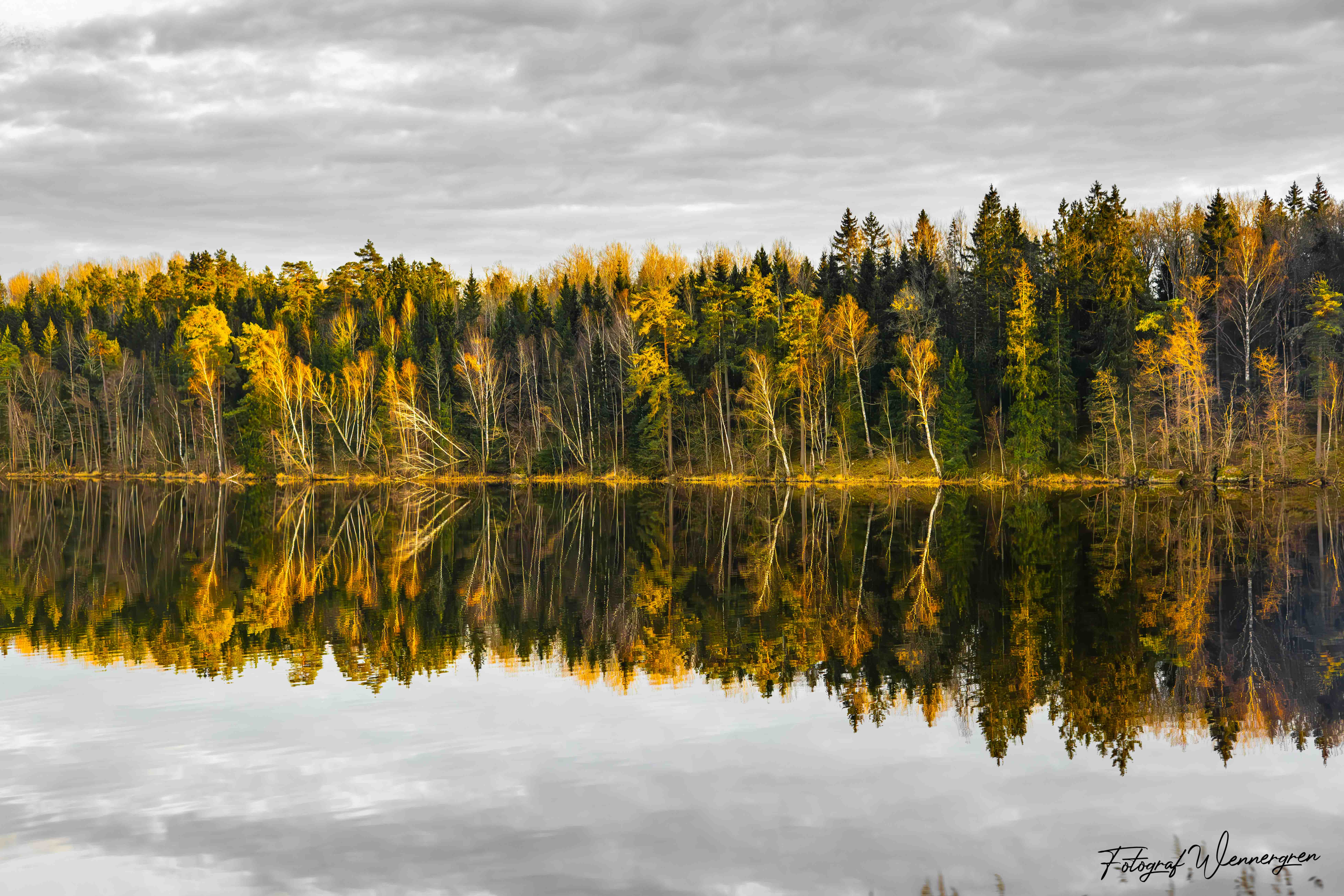 Natur