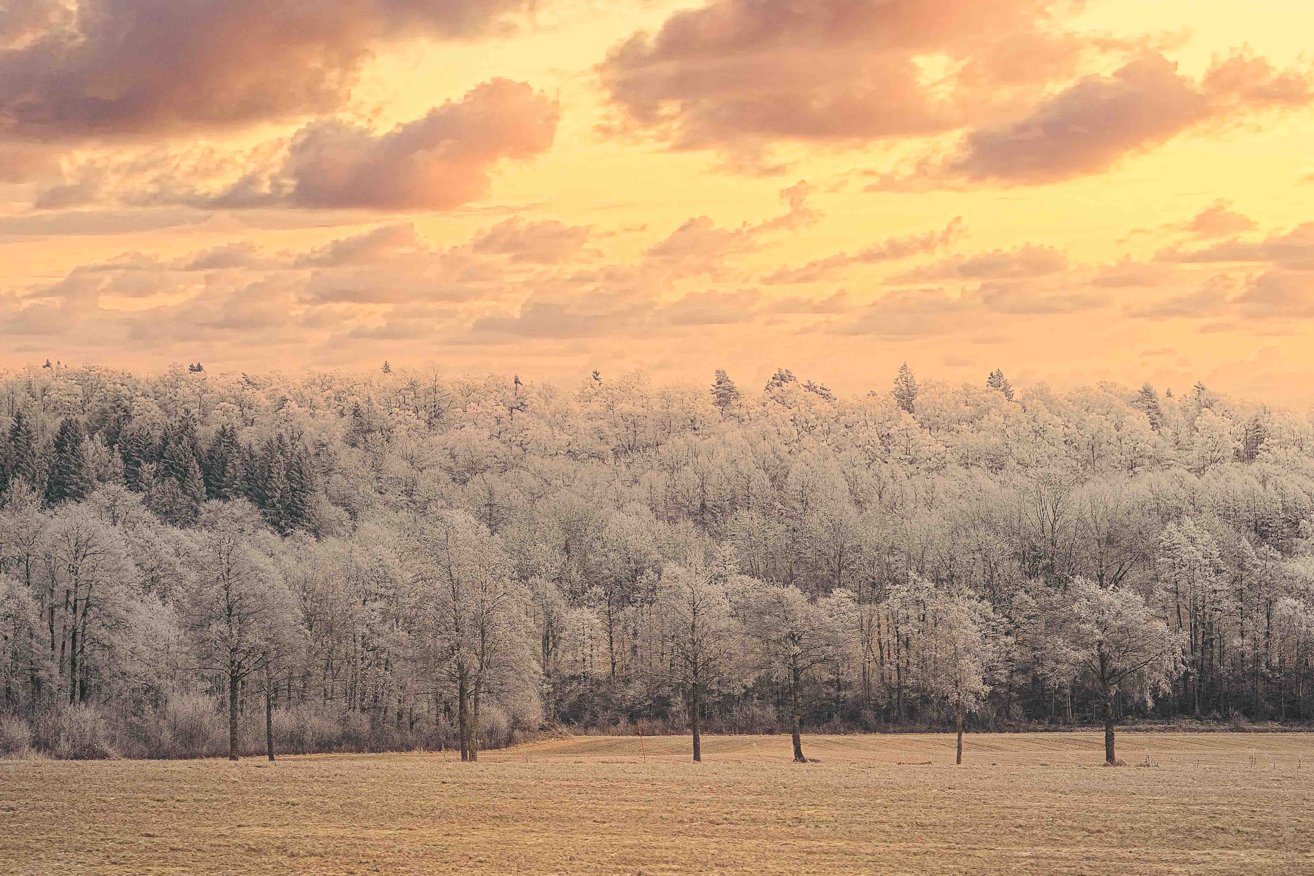 Natur